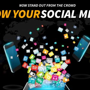 Social Media – Basic Plan(India)- INR 6K